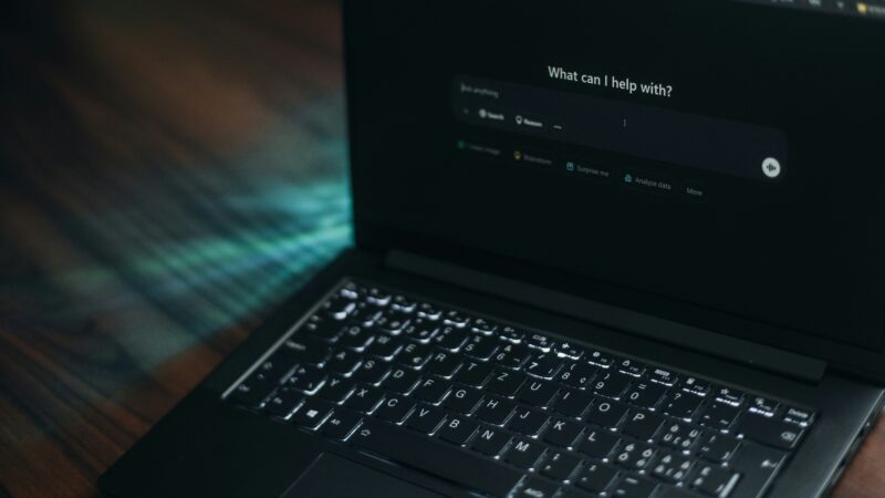 Large Language Model